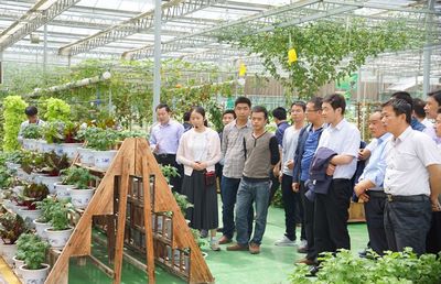 通渭縣新進(jìn)鄉(xiāng)鎮(zhèn)領(lǐng)導(dǎo)班子成員開(kāi)展新材料技術(shù)推廣服務(wù)觀摩學(xué)習(xí)活動(dòng)